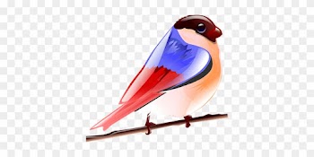 Bird Fly Nature Red Blue Colorful Bird Bir - Birds Cartoon Png Colourful