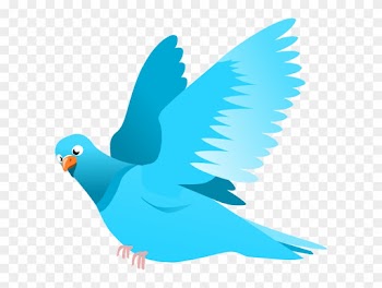 Bird Flying Clipart Png