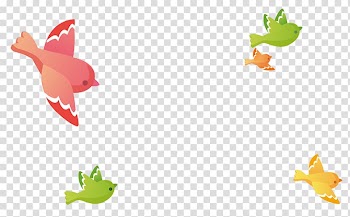 Bird , Flying colored birds transparent background PNG clipart