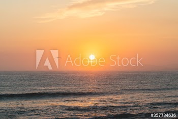 Bird flying over sea during sunset