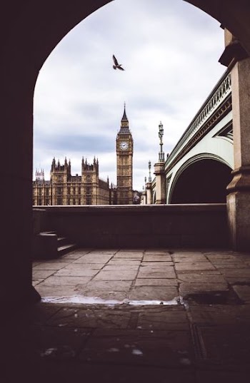 bird flying over The Big Ben and Lambet bridge London at daytime