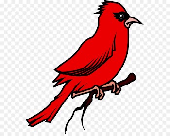Bird Food Bird Baths Northern cardinal Animal - bird 