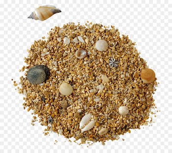 bird food food oat bran cuisine dish