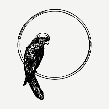 Bird frame drawing, vintage animal | Free PSD - rawpixel