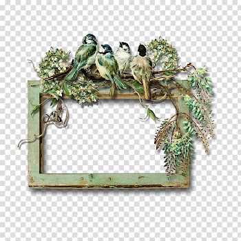 Bird Frames Decoupage , Bird transparent background PNG clipart