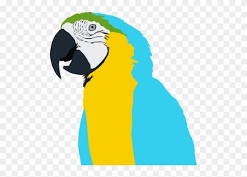 Bird,free - Parrot