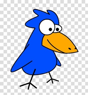 Bird Funny animal , Bird transparent background PNG clipart