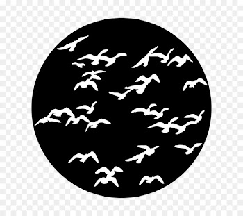 Bird Gobo Flock Design Stage lighting - stagecraft graphic 