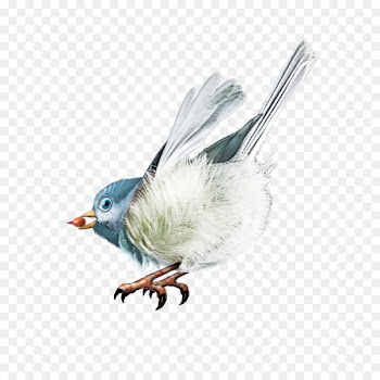 Bird Gongbi Clip art - Birds 