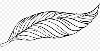 Bird Goose Feather - Beautiful peacock feather artwork 