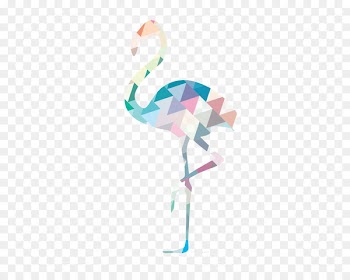 Bird Greater flamingo Geometry - Flamingos 