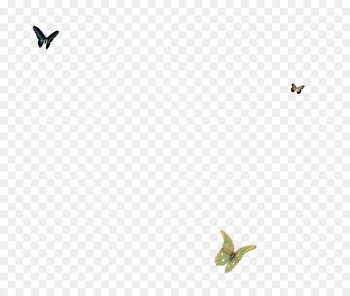 Bird Green Angle Pattern - Butterfly petals floating bubble simple and elegant 