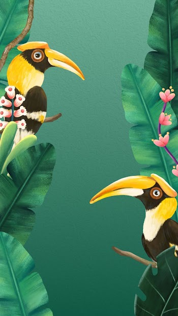 Bird green mobile wallpaper, hornbill | Free Photo Illustration - rawpixel