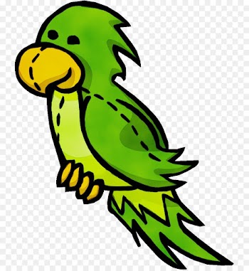 bird green parrot beak parakeet