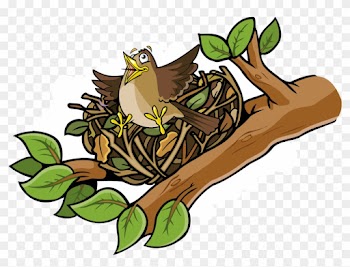 Bird Habitat Nature Animal Organism - Nest Cartoon