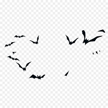 Bird Halloween Silhouette - Cry Halloween witch silhouette birds 