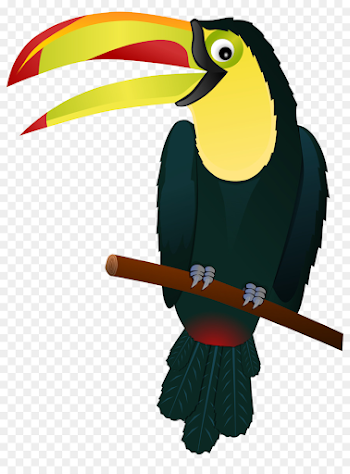 Bird Hornbill png download - 1331*1775 - Free Transparent Bird png ...