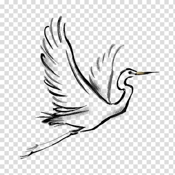 Bird illustration, Bird Crane, white crane transparent background PNG clipart