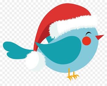 Bird Illustration Portable Network Graphics Beak Vector graphics - brave bird 