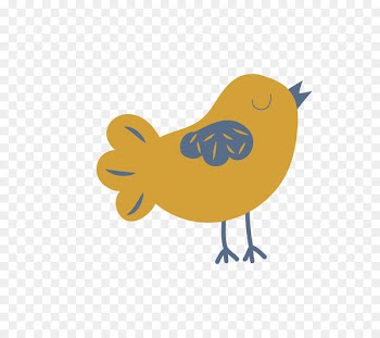 Bird Illustrations Drawing Bird Illustrations Vector graphics -  