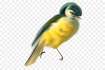 Bird Image Painting Animal Portable Network Graphics - computer literacy 