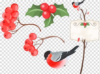 Bird Information , watercolor birds transparent background PNG clipart