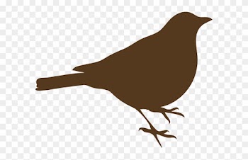 Bird Is The Word Sticker