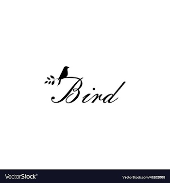 bird logo design template