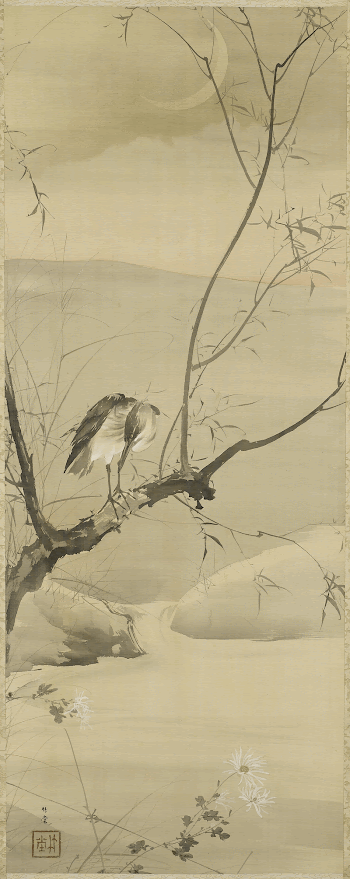 bird, looking down toward LLC, | Free Photo - rawpixel