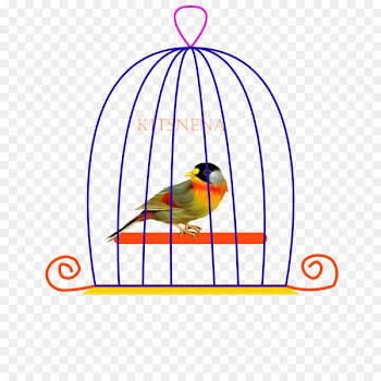Bird Macaw Clip art Beak Line - ausente poster 