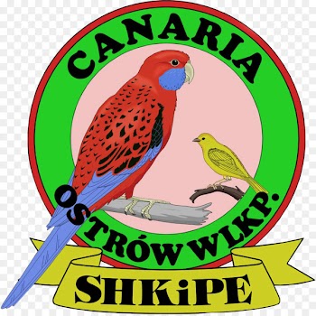 Bird Macaw Parakeet Beak Clip art - bird 