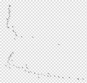 Bird migration Flock Animal migration, flock of birds transparent background PNG clipart