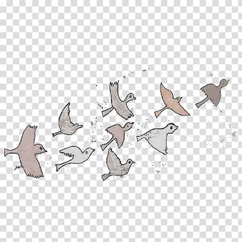 Bird migration Watercolor painting Water bird, Birds transparent background PNG clipart