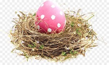 Bird nest Easter - Nest 