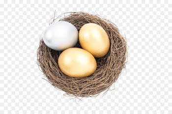 Bird nest Egg Bird nest - Nest egg 