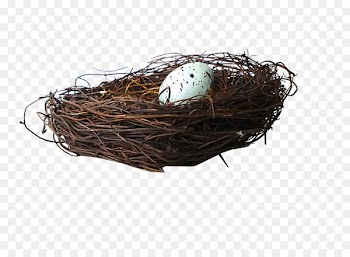 Bird Nest Egg - Brown nest eggs 