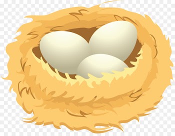 Bird Nest Egg Clip art - Egg 