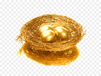 Bird nest Egg - Golden nest egg nest 