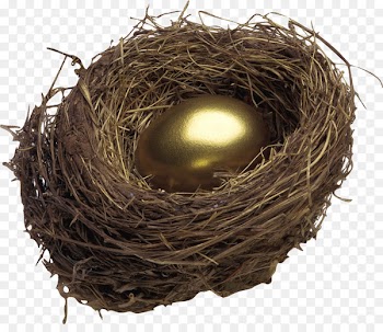 Bird nest Egg - nest 