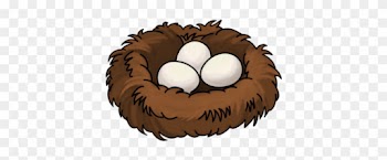 Bird Nest - Empty Bird Nest Cartoon
