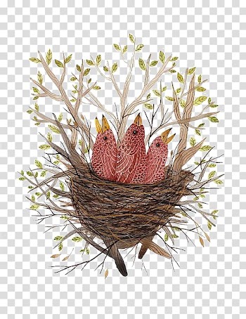 Bird nest Paper Finch Illustration, Bird nest transparent background PNG clipart