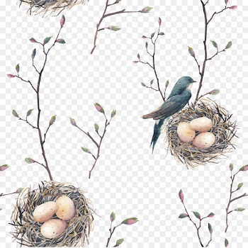 Bird nest Swallow Tree Pattern - Cartoon bird nest vector 