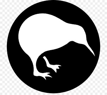 Bird New Zealand Kiwi Beak - kiwi bird 
