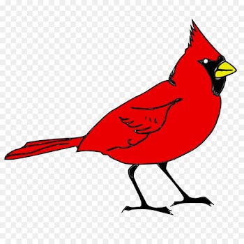 bird northern cardinal cardinal beak clip art