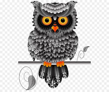Bird, Northern Whitefaced Owl, Southern Whitefaced Owl, Owl PNG