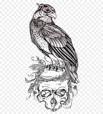 Bird of prey Owl Drawing - Eagle on Skull 
