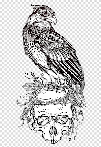 Bird of prey Owl Drawing, Eagle on Skull transparent background PNG clipart