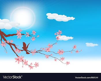 Bird on a brach vector image