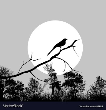 Bird on a branch vector image