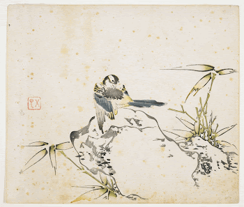 Bird on a rock-like object; | Free Photo - rawpixel